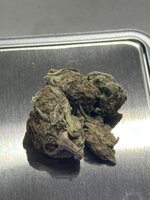 IMG_1215.jpeg