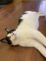 IMG_5918.jpeg