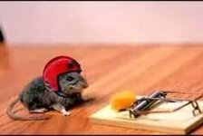 IMG_4904.jpeg