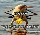 IMG_4922.jpeg
