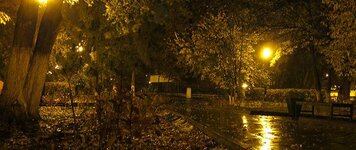 IMG_4924.jpeg