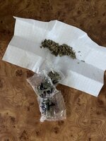 IMG_9130.jpeg