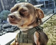 IMG_2929.jpeg