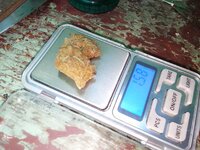 IMG_20250906_111904_656.jpg