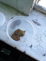 IMG_20250906_111859_335.jpg