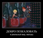 IMG_20241103_034437_637.jpg