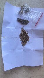 IMG_1472.jpeg