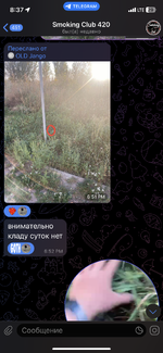 IMG_2824.png