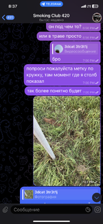 IMG_2825.png