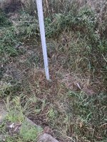 IMG_2836.jpeg