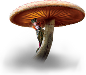 1757235148540.png