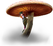 klipartz.com.png