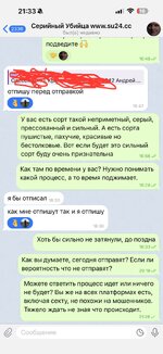 IMG_7877.jpeg