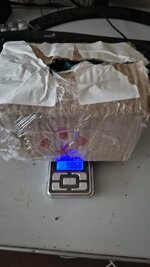 IMG_20250908_111421_018.jpg