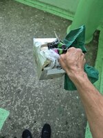 IMG_20250908_110906_400.jpg
