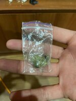 IMG_0784.jpeg
