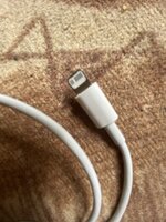 IMG_1795.jpeg