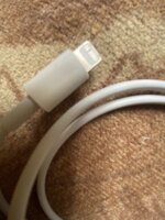 IMG_1794.jpeg