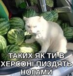 e08219343112ffc46d2974a3376a3a8c.jpg
