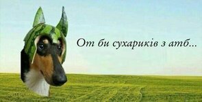 d3635d960a34951b3e1246d12c599c8e.jpg