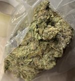 IMG_2762.jpeg