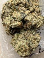 IMG_2761.jpeg
