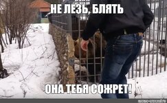 845c195dc7d51eea60275565984c9b22.jpg