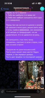 IMG_9037.jpeg