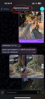 IMG_9038.jpeg
