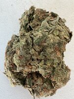IMG_5268.jpeg