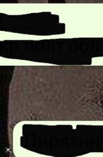 Screenshot_20250913_020614_Gallery.jpg