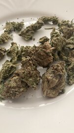 IMG_6115.jpeg