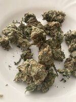 IMG_6116.jpeg