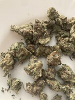 IMG_6118.jpeg