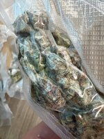 IMG_3927.jpeg