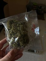 IMG_5923.jpeg