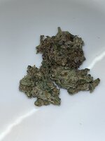 IMG_2801.jpeg
