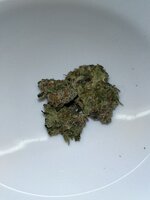 IMG_2803.jpeg