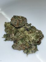 IMG_2805.jpeg
