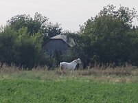 IMG_20250914_152319_123.jpg