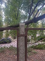 IMG_0797.jpeg