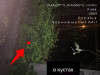 IMG_0798.jpeg