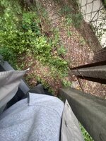 IMG_0799.jpeg