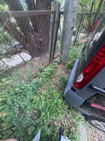 IMG_0800.jpeg