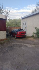 IMG_0802.jpeg
