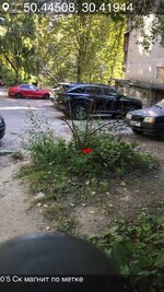 IMG_0804.jpeg