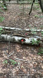 IMG_0807.jpeg