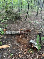 IMG_0808.jpeg