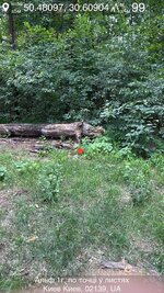 IMG_0809.jpeg