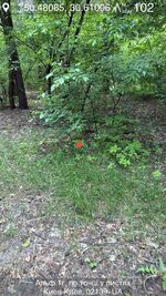 IMG_0812.jpeg